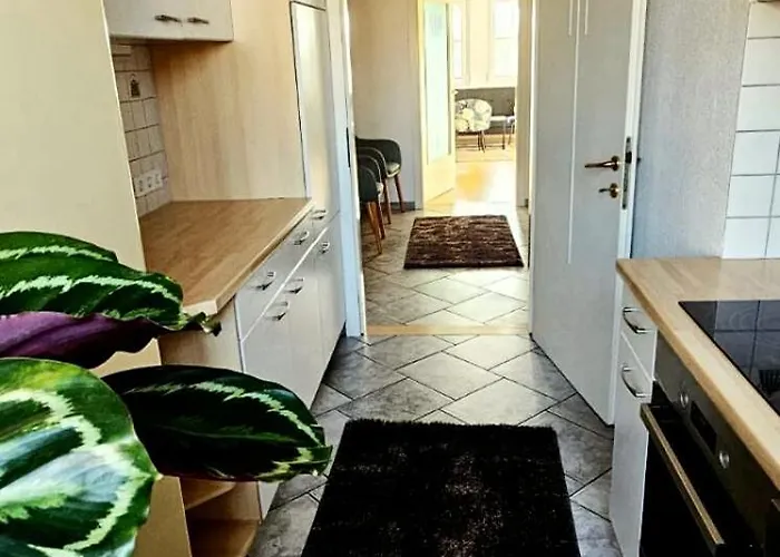 Oase - Perle Der Wachau *